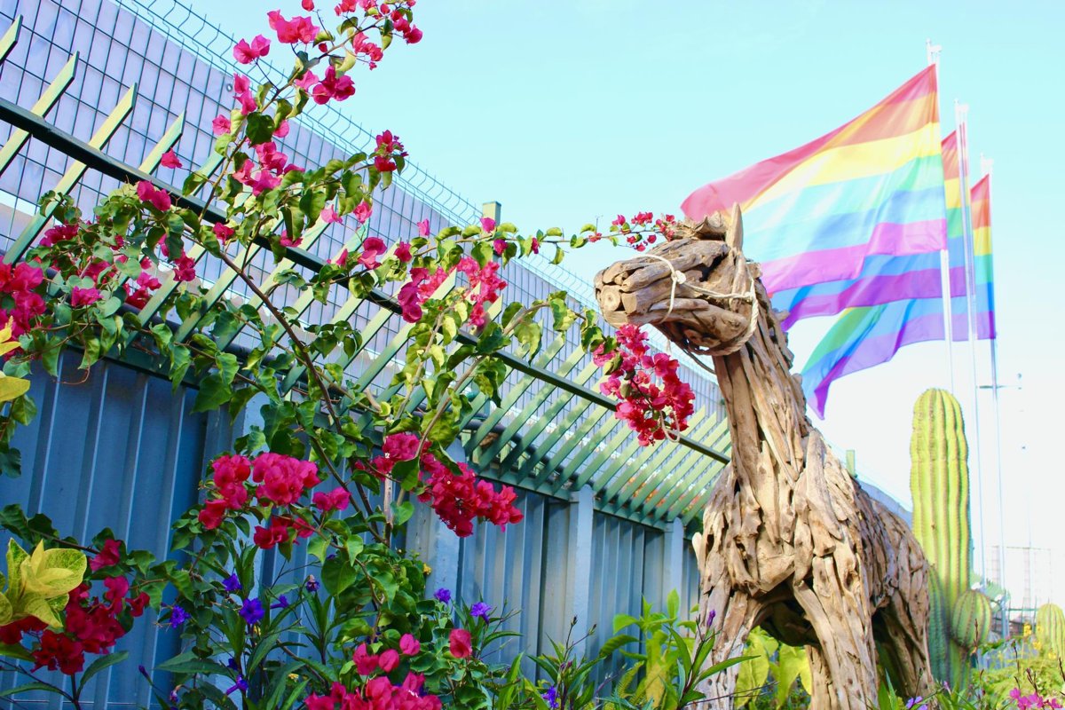 Buchen Sie jetzt Ihren Herbst- oder Winter-Gay-Urlaub