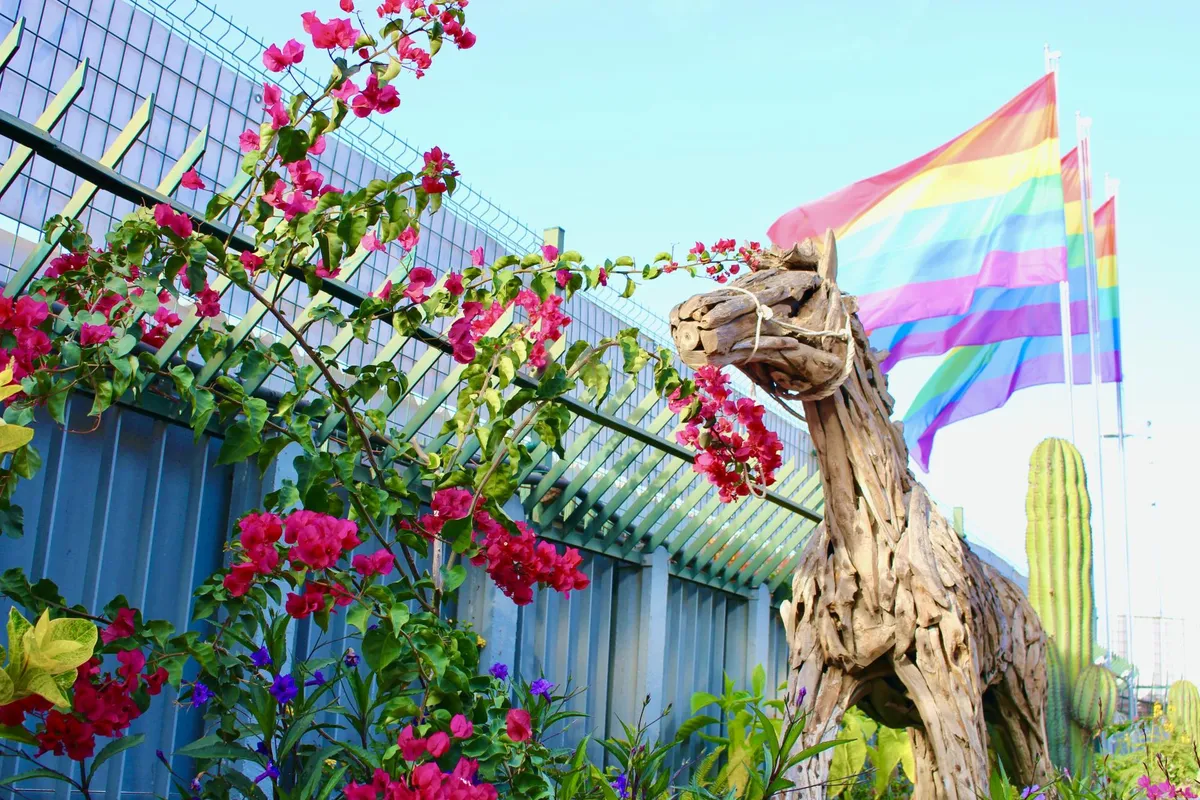 Séjour gay: réservez dès maintenant vos vacances d'automne ou d'hiver